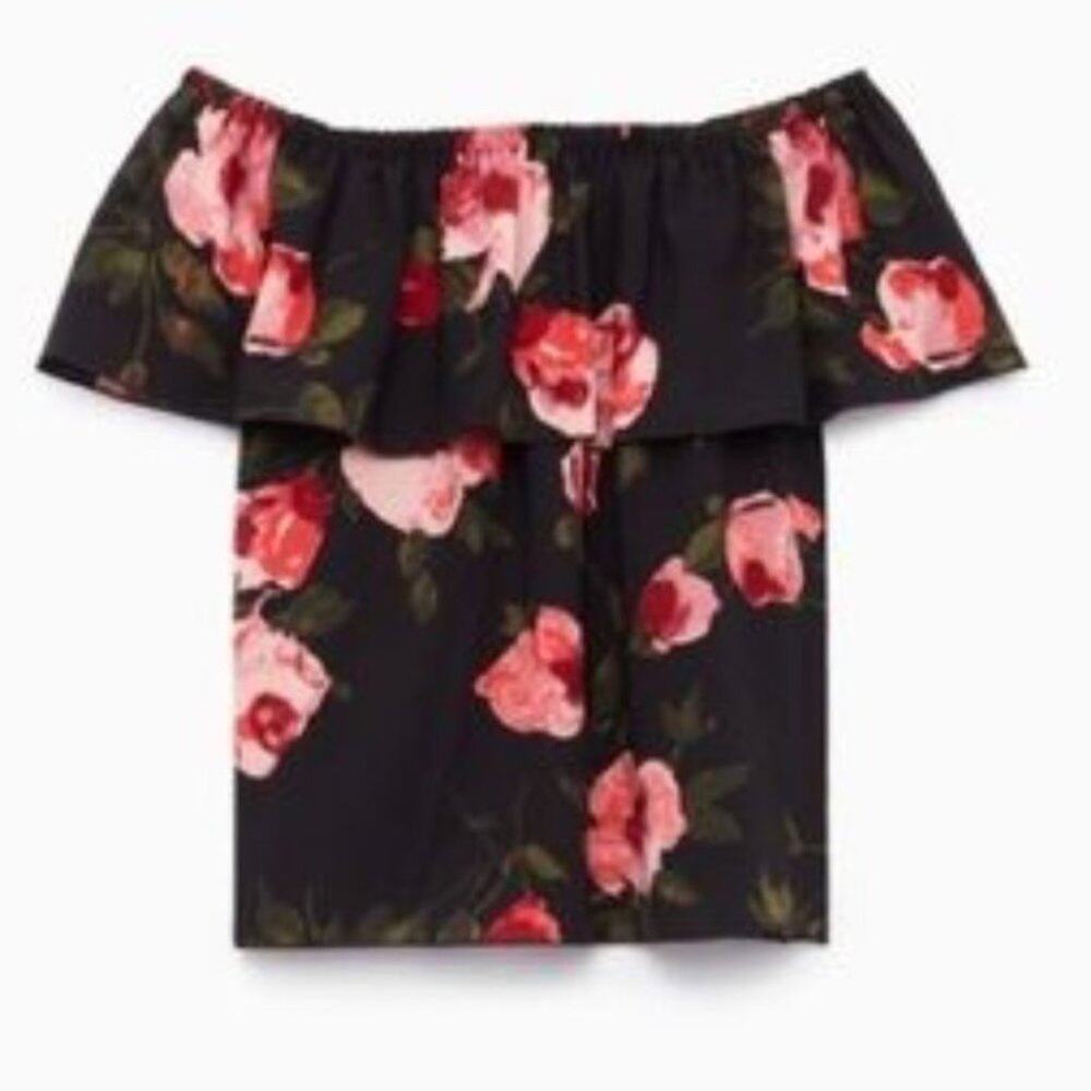 Aritzia Wilfred Promener Blouse Floral Ruffle Top